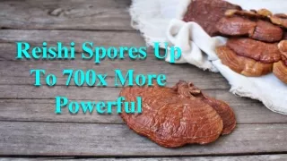 Reishi Spores Up To 700x More Powerful