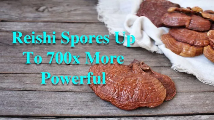 reishi spores up to 700x more powerful