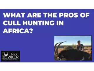 What are the Pros of Cull Hunting in Africa