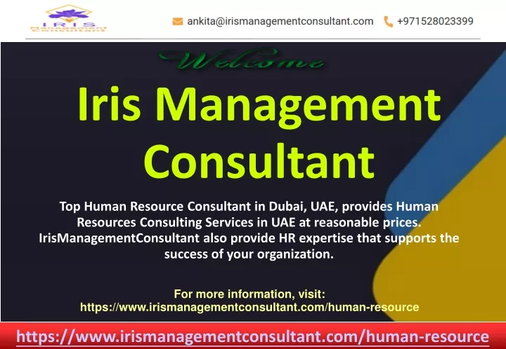 iris management consultant