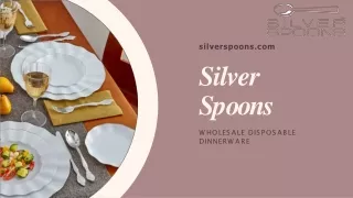 Wholesale Party Supplies