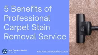 6 Benefits of Professional Carpet Stain Removal Service