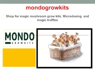 Shop for magic mushroom grow kits, Microdosing and magic truffles
