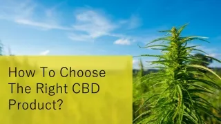 How To Choose The Right CBD Product?