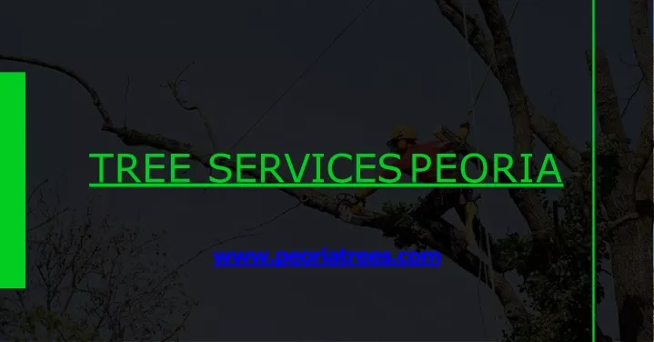 tree services peoria