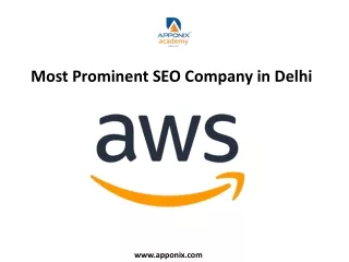 Most-Prominent-SEO-Company-in-Delhi
