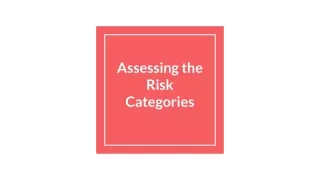 Assessing the Risk Categories