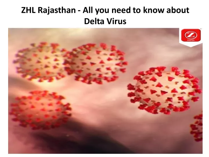 zhl rajasthan all you need to know about delta
