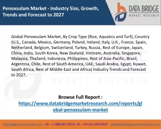 penoxsulam market industry size growth trends