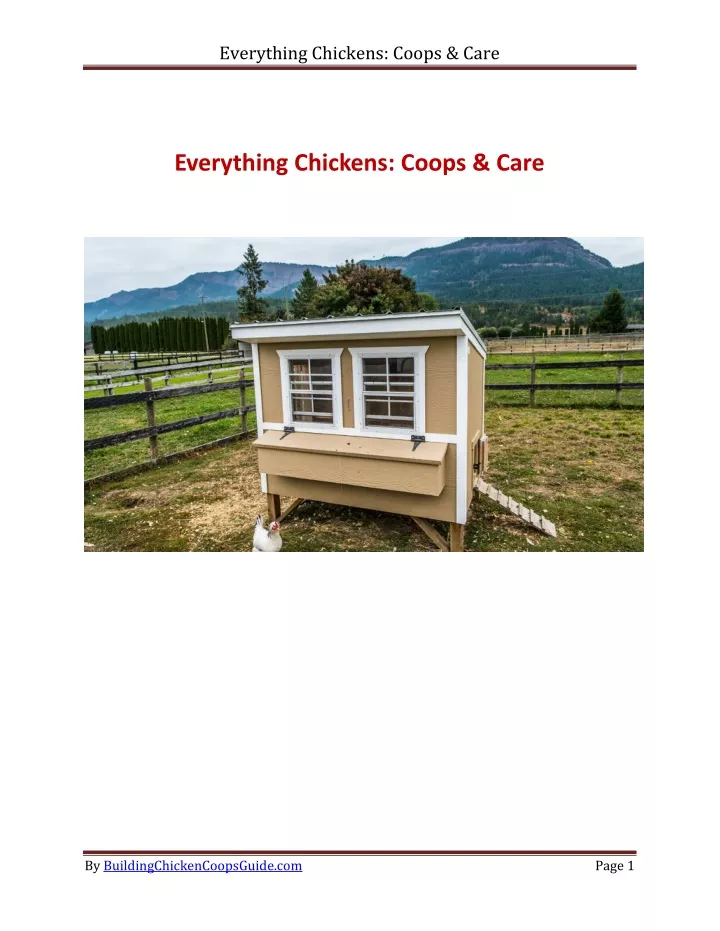 everything chickens coops care