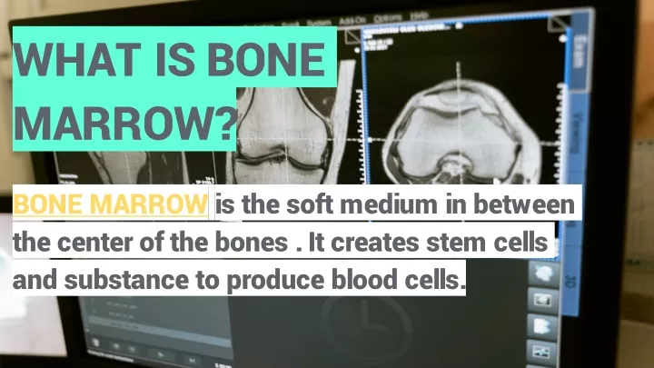 what is bone marrow