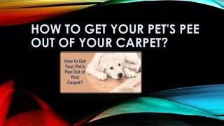 How to Get Your Pet's Pee Out of your Carpet