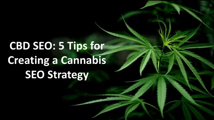 cbd seo 5 tips for creating a cannabis