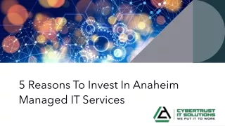5 Reasons To Invest In Anaheim Managed IT Services​
