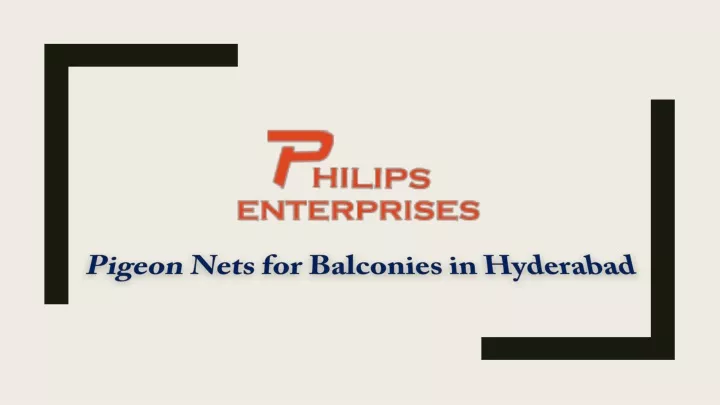 pigeon nets for balconies in hyderabad