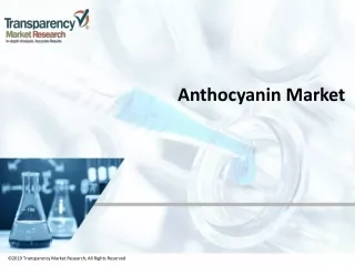 2019 transparency market research all rights
