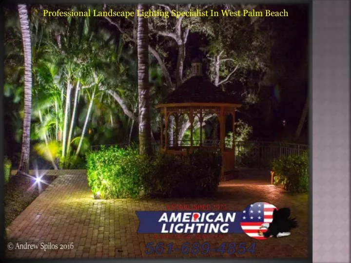 professional landscape lighting specialist