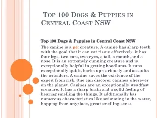 Top 100 Dogs & Puppies in Central