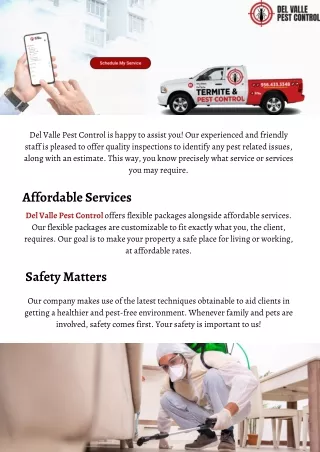 Pest Control Services in Brownsville