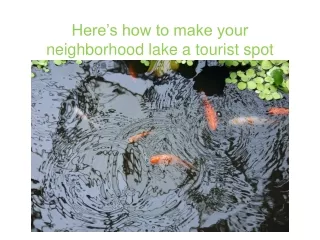 Here’s how to make your neighborhood lake a tourist spot