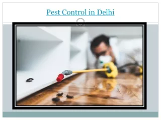 Pest Control in Delhi