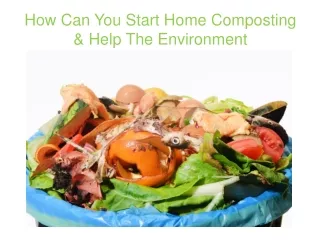 How Can You Start Home Composting & Help The Environment