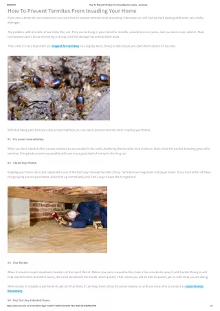 Termite control Rosenberg