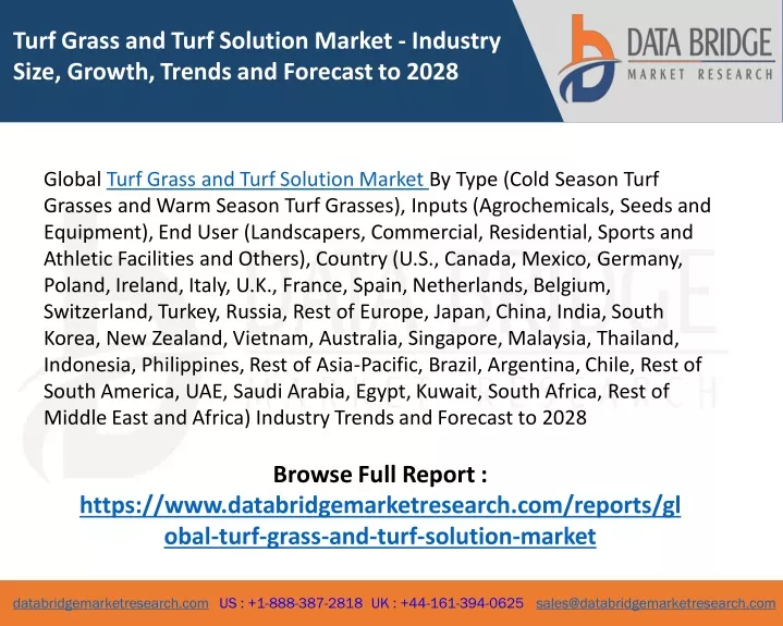 turf grass and turf solution market industry size