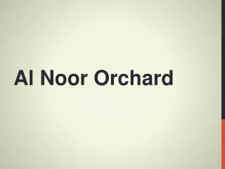Al-Noor-orchard