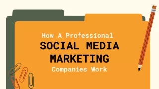 How A Professional Social Media Marketing Companies Work