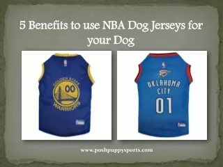 5 Benefits to use NBA Dog Jerseys for your Dog