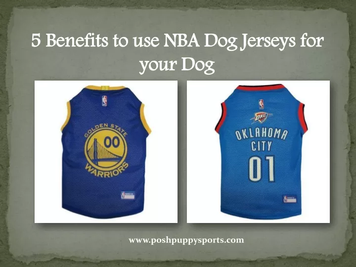 5 benefits to use nba dog jerseys for your dog