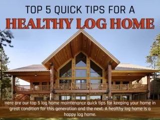 Top 5 Quick Tips for A Healthy Log Home