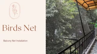 birds net