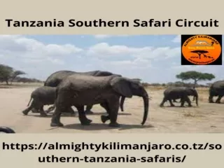 Tanzania Southern Safari Circuit