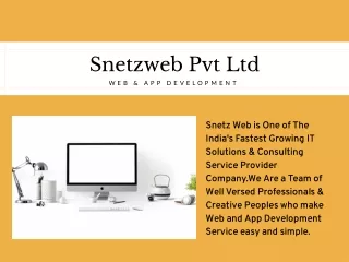 snetzweb pvt ltd w e b a p p d e v e l o p m e n t