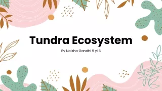 tundra ecosystem by naisha gandhi 9 yi 5