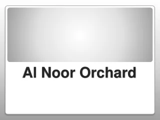 Al-Noor-Orchard