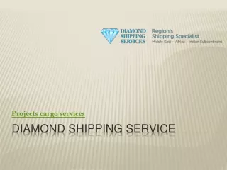 Diamond Shipping Service- Projects cargo services