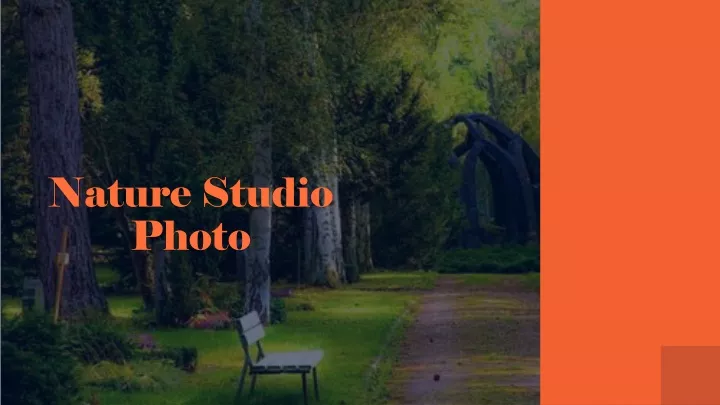 nature studio photo