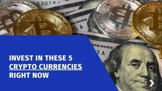 Invest in these 7 crypto currencies right now