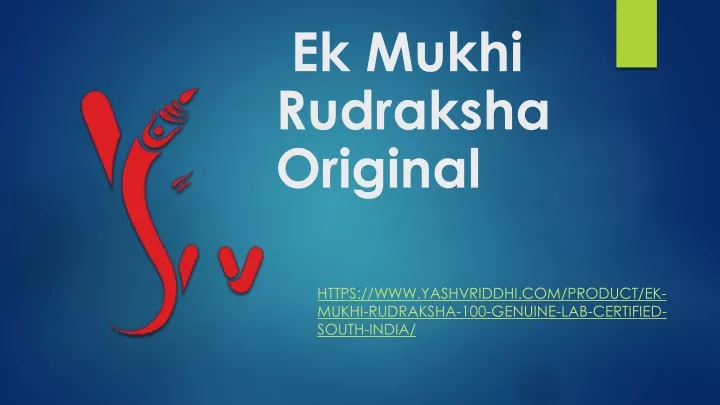 ek mukhi rudraksha original