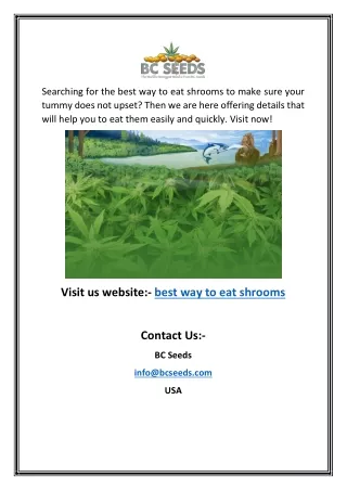 searching for the best way to eat shrooms to make