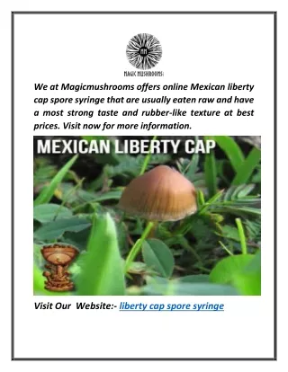 Liberty Cap Spore Syringe | Magicmushrooms.com