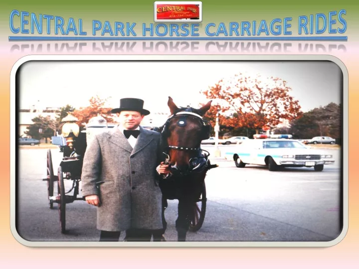 central park horse carriage rides