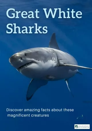 Facts about Great White Sharks