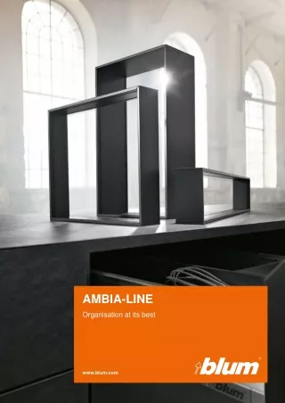 AMBIA-LINE - An Easy Inner Dividing System for all your needs
