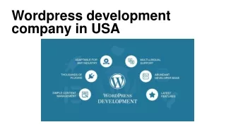 wordpress development