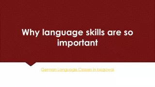 Why language skills are so important