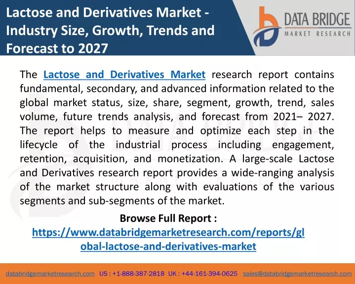 lactose and derivatives market industry size